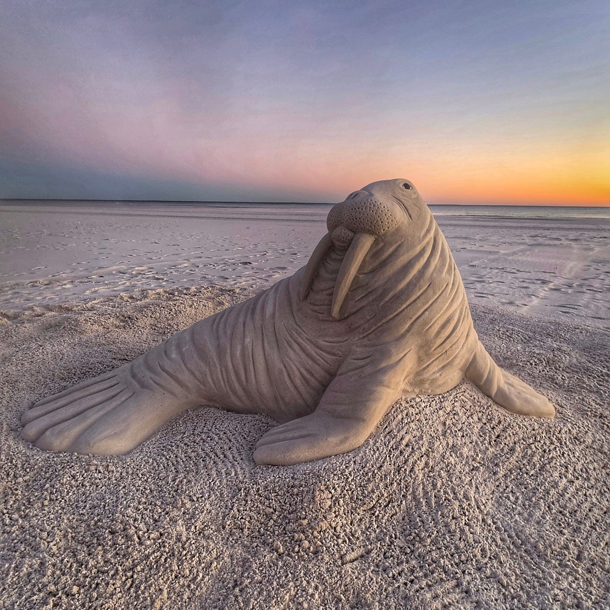 Print 8x10 - Wally Walrus